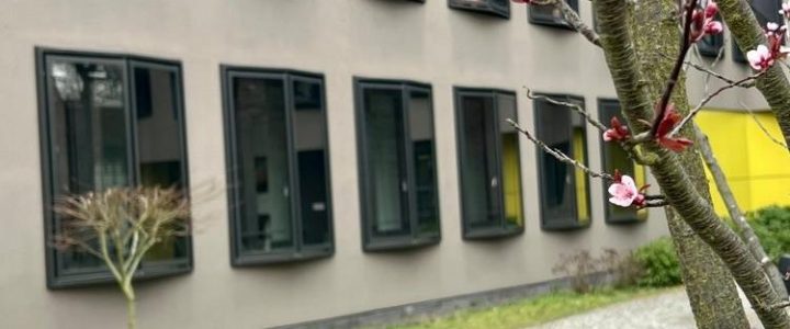 Online-Infoveranstaltung zum Master of Business Administration (MBA) an der Universität Potsdam (Webinar | Online)