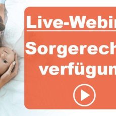 Für Eltern: Sorgerechtsverfügung, Vollmachten für die Familie & 24/7 Notfall-Hilfe (Webinar | Online) Für Eltern: Sorgerechtsverfügung, Vollmachten für die Familie & 24/7 Notfall-Hilfe (Webinar | Online)