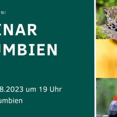 Kolumbien Webinar (Webinar | Online)