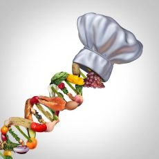 Infoday Food Proteins from Biotechnology (Konferenz | Frankfurt am Main)