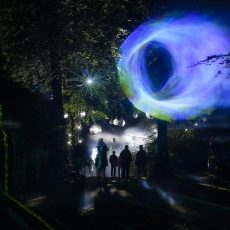 Nachts im Park (Unterhaltung / Freizeit | Graal-Müritz)