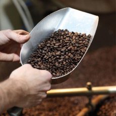 DINZLER Baristakurs Basic (Unterhaltung / Freizeit | Irschenberg) DINZLER Baristakurs Basic (Unterhaltung / Freizeit | Irschenberg)