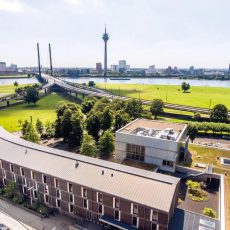 Rheinwerk Digital Marketing Camp (Konferenz | Online)