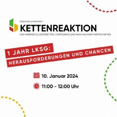 Kettenreaktion Webinar: 1 Jahr LkSG – Herausforderungen und Chancen (Webinar | Online) Kettenreaktion Webinar: 1 Jahr LkSG – Herausforderungen und Chancen (Webinar | Online)