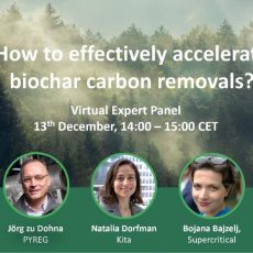 How to effectively accelerate biochar carbon removals? (Webinar | Online)