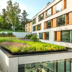 Extensive & Intensive Dachbegrünung (Seminar | Online)