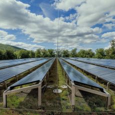 Solargründach – die Systemsymbiose für nachhaltige Städte (Seminar | Online)