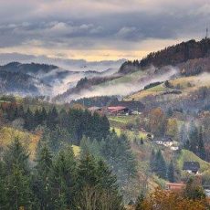 Schwarzwald-Elsass Tour (Unterhaltung / Freizeit | Ensisheim) Schwarzwald-Elsass Tour (Unterhaltung / Freizeit | Ensisheim)