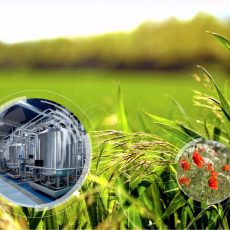 61st Tutzing Symposion 2024: Phytoextraction: A sustainable resource for innovative products (Kongress | Tutzing)