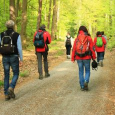 Coaching-Basis-Seminar 4 (Seminar | Stadtprozelten)