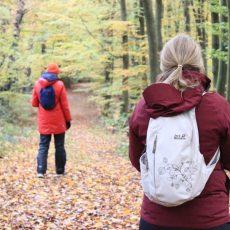 Natur-Coach-Ausbildung 1 (Frühjahr) (Seminar | Stadtprozelten)