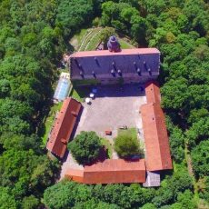 Auszeit-Seminar mit Wald – Achtsamkeitstraining und Natur-Coaching (Seminar | Hofheim in Unterfranken)