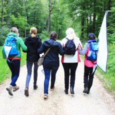Natur-Coaching-Weiterbildung „Team-Coaching“ (Seminar | Stadtprozelten)