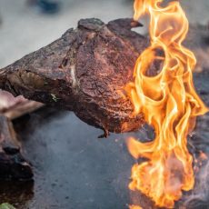 FIRE&FOOD BBQ WEEK (Unterhaltung / Freizeit | Bayreuth)