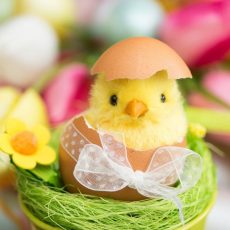 Osterbrunch am Ostersonntag und Ostermontag (Sonstiges | Dobbin-Linstow)