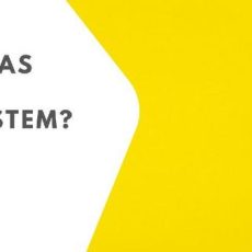 Webinar „Wie finde ich das richtige Redaktionssystem?“ (Webinar | Online)