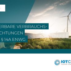 Steuerbare Verbrauchseinrichtungen gemäß §14a EnWG – Neue Ansätze für Netzbetreiber (Webinar | Online)