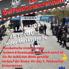 18. Seifenkistenrennen (Unterhaltung / Freizeit | Pasewalk)