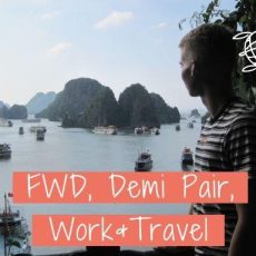 Online-Infoabend: FWD, DemiPair, Work & Travel (18+) (Webinar | Online)