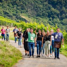 Kulinarischer Wingertsbummel (Unterhaltung / Freizeit | Reil)