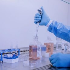 First Conference “Advancements in Animal-Free Research and Translational Medicine” in Munich (Konferenz | Krailling)