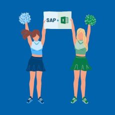 Kostenfreies Webinar: So werden SAP und Excel ein Dream-Team (Webinar | Online)