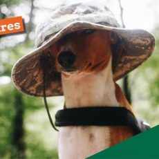 Entdecke dein wahres Potential! (w/m/d) (Vortrag | Heilbronn)