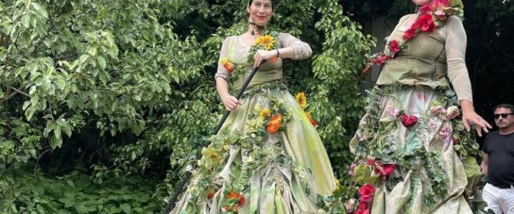 Midsummer Nights Dream im Schlosspark (Unterhaltung / Freizeit | Unterschwaningen)