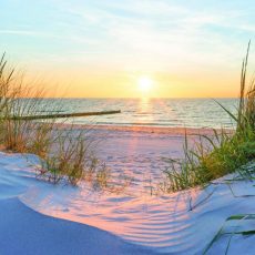 RESILIENZ – Das „Nur da sein “- Retreat (Seminar | Moor-Rolofshagen)