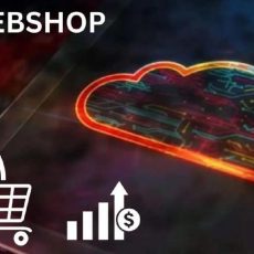 Webinar B2B WEBSHOP PROFESSIONELL AUFBAUEN & ERFOLGREICH MACHEN (Webinar | Online)