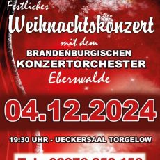Festliches Weihnachtskonzert mit dem brandenburgischen Konzertorchester Eberswalde (Unterhaltung / Freizeit | Torgelow)