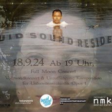 Liquid Sound Residency – Vollmondkonzert (Unterhaltung / Freizeit | Bad Schandau)