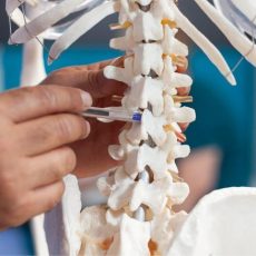 Fachtagung „Von der Präventation über die Reha zur Nachsorge“ – Updates Osteoporose (Sonstiges | Bad Sulza)