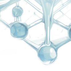 Morphodynamik im Wasser – Kurs (Schulung | Bad Sulza)