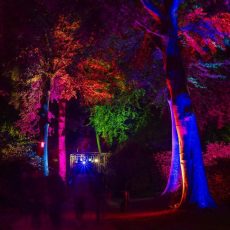 »Nachts im Park« (Unterhaltung / Freizeit | Graal-Müritz)