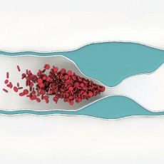 Gefäßerkrankung: Maßgeschneiderte Prävention und Therapie (Seminar | Essen)