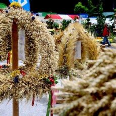 Einladung zum Pressefrühstück (Pressetermin | Erfurt)