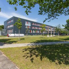 Ewiges Wachstum? Vorträge und Diskussion mit Prof. Niko Paech und Prof. Sonja Peterson (Vortrag | Lübeck)