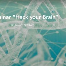 Zoominar „Hack your Brain“ (Webinar | Online)