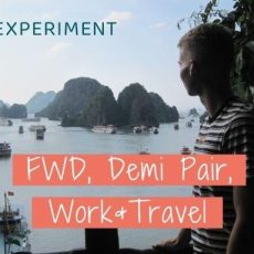 Online-Infoabend: FWD, DemiPair, Work & Travel (18+) (Webinar | Online)