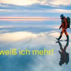 Schulung: DORA-Verordnung in Unternehmen umsetzen (Webinar | Online)