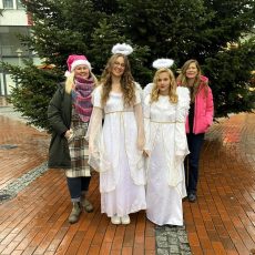 Lichtermarkt Elmshorn 2024 (Unterhaltung / Freizeit | Elmshorn)