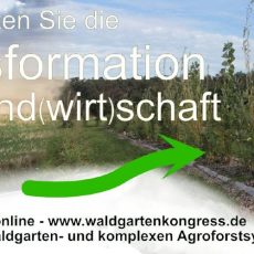 5. Stammtisch für Waldgarten- und komplexe Agroforstsysteme am Dienstag 13.2.2024 um 19:30 Uhr (Networking | Online)
