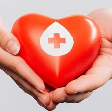 Blutspendetermin (Sonstiges | Pasewalk)