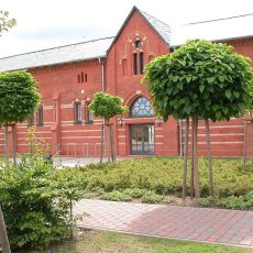 Weihnachtstanz (Unterhaltung / Freizeit | Pasewalk)