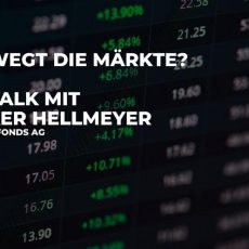 Money-Talk mit Folker Hellmeyer (Webinar | Online)