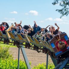 Willkommen zum „Jobberday 2024“ im Wunderland Kalkar (Sonstiges | Kalkar)