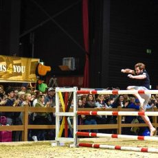 REITSPORTMESSE NIEDERRHEIN 2023… vielseitig, spannend, erlebnisreich (Messe | Kalkar) REITSPORTMESSE NIEDERRHEIN 2023… vielseitig, spannend, erlebnisreich (Messe | Kalkar)