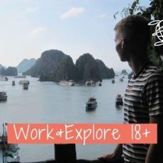 Online-Infoabend: Work & Explore 18+ (Webinar | Online)