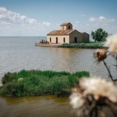 Ferrara, Comacchio & Po Delta auf der Reisemesse F.RE.E in München (Konferenz | München)